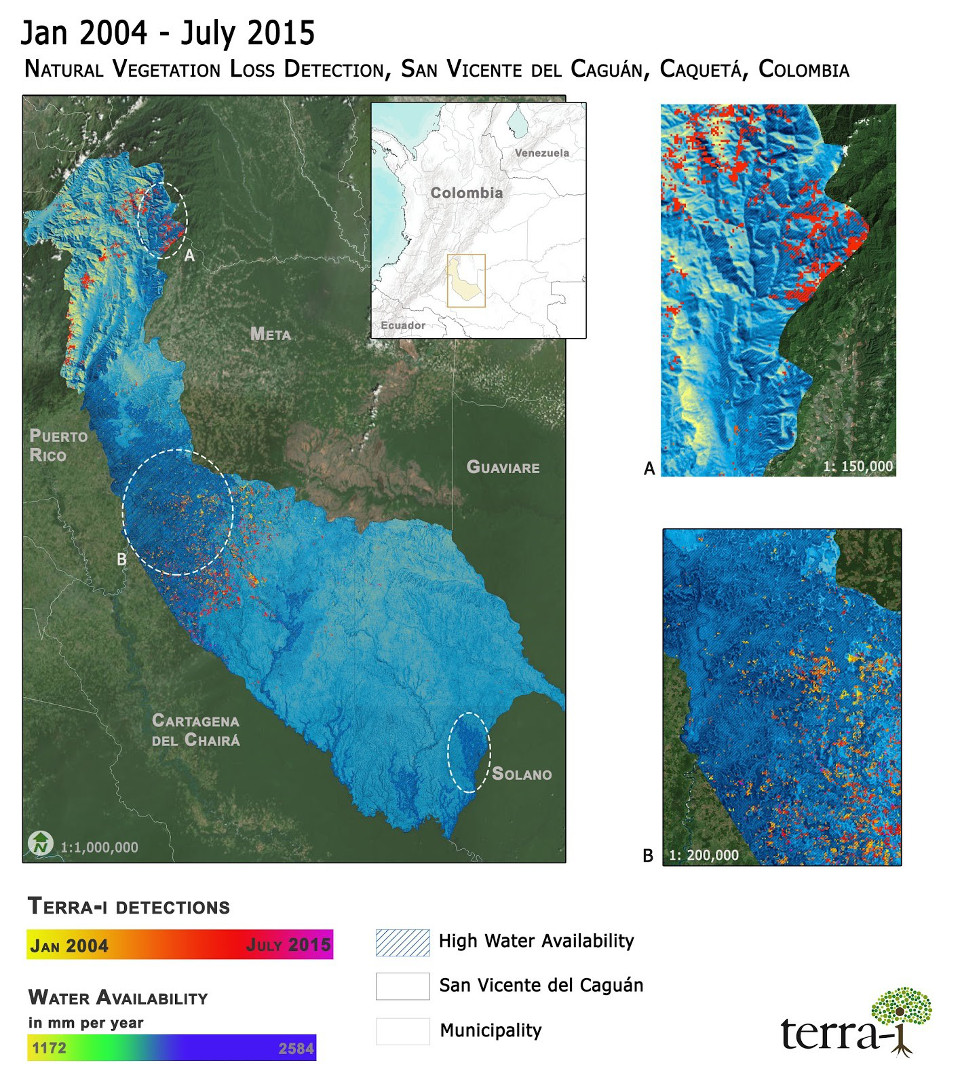 Forest monitoring